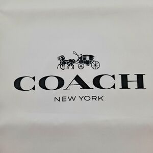 Large Coach Dust Bag White with Black Logo EUC 23" × 18"